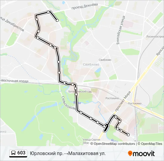 Автобус 603: карта маршрута