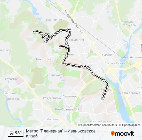 981 Bus Line Map
