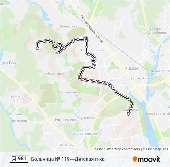 981 Bus Line Map