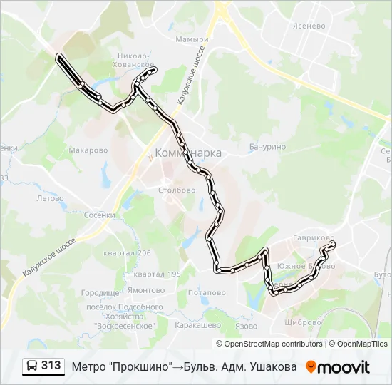 313 Bus Line Map