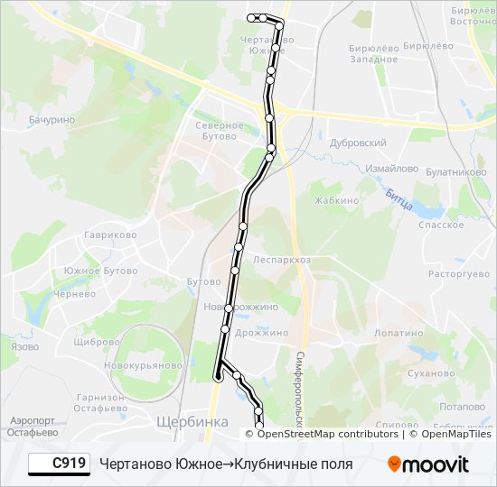 С919 bus Line Map