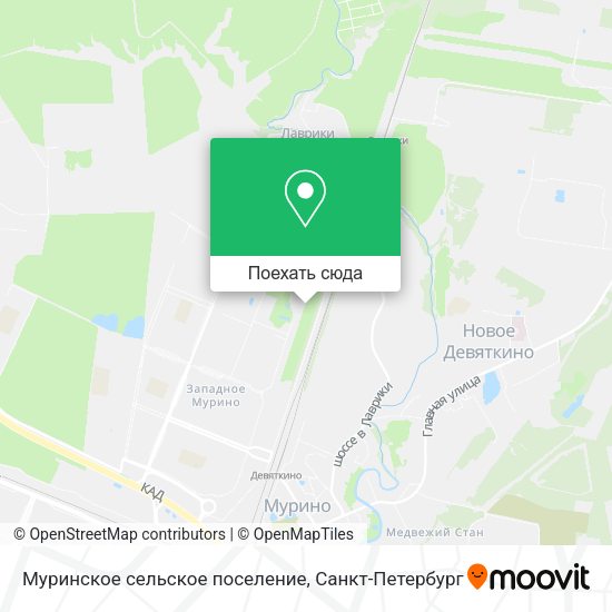 Карта Муринское сельское поселение