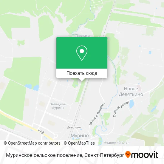 Карта Муринское сельское поселение