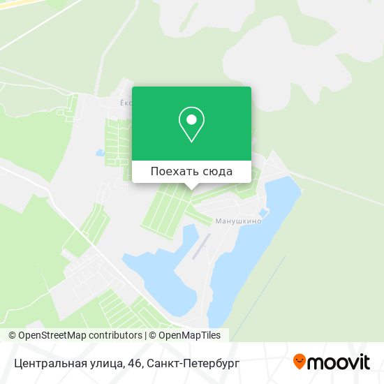Карта Центральная улица, 46