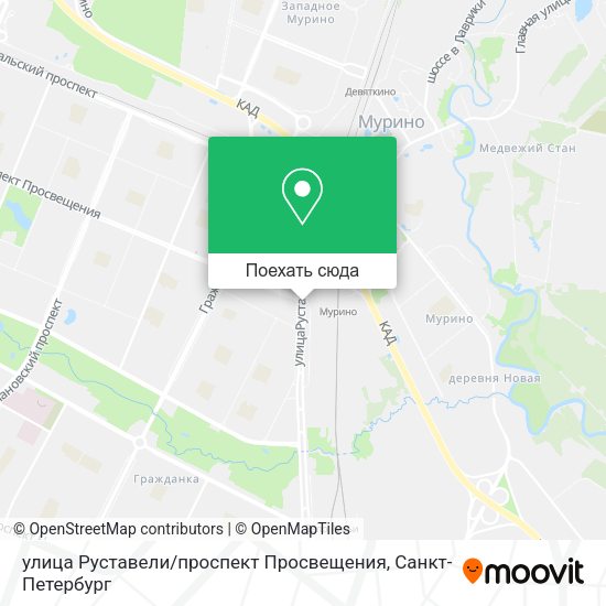 Карта улица Руставели / проспект Просвещения