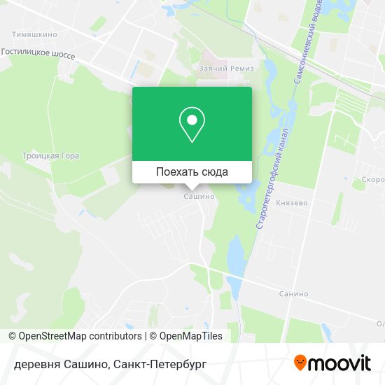 Карта деревня Сашино