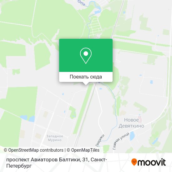 Карта проспект Авиаторов Балтики, 31