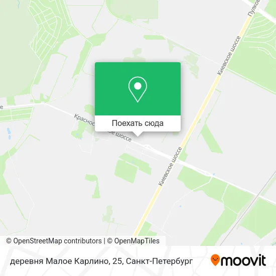 Карта деревня Малое Карлино, 25