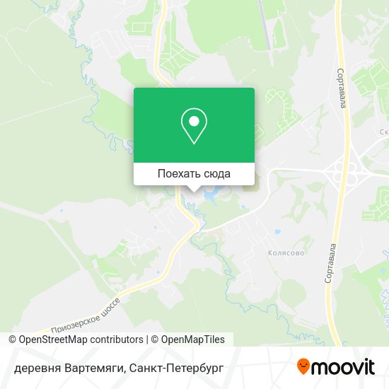 Карта деревня Вартемяги