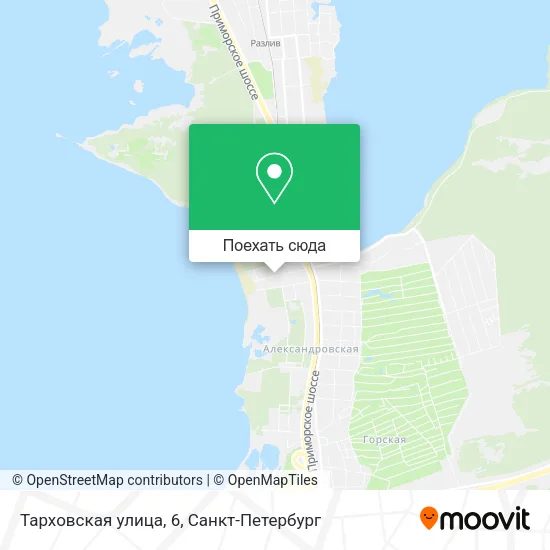 Карта Тарховская улица, 6