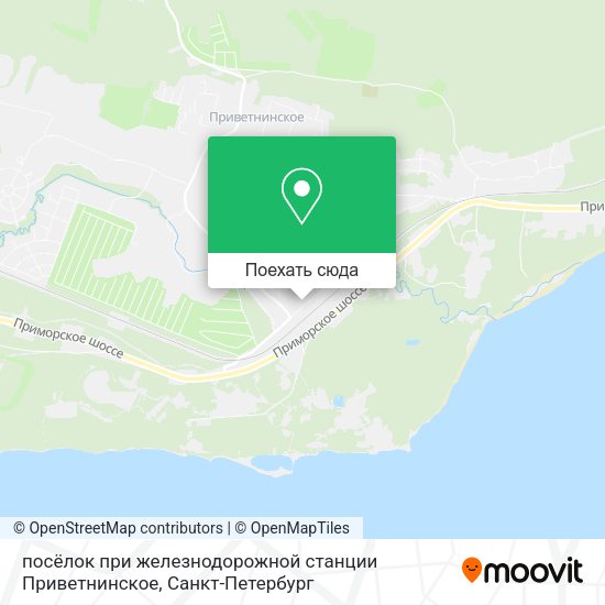 Карта посёлок при железнодорожной станции Приветнинское