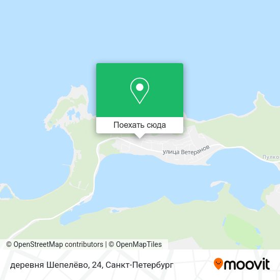 Карта деревня Шепелёво, 24