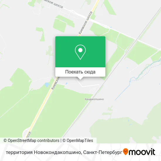 Карта территория Новокондакопшино