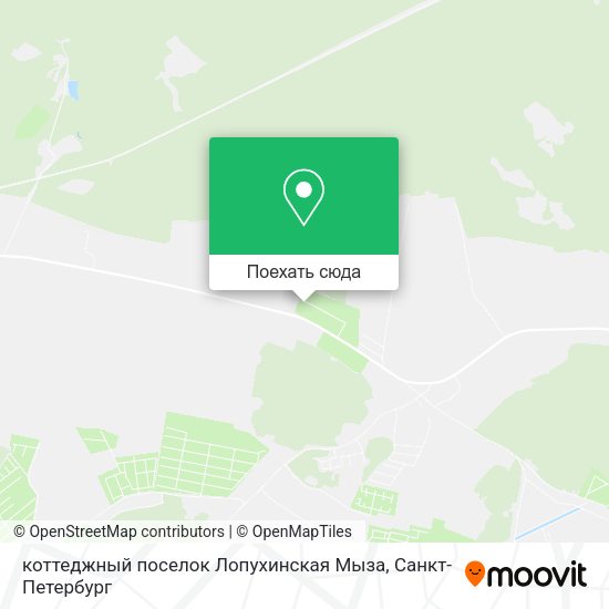 Карта коттеджный поселок Лопухинская Мыза