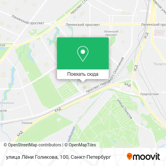 Карта улица Лёни Голикова, 100