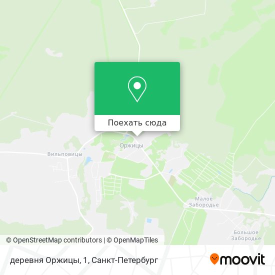 Карта деревня Оржицы, 1