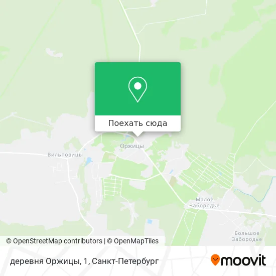 Карта деревня Оржицы, 1