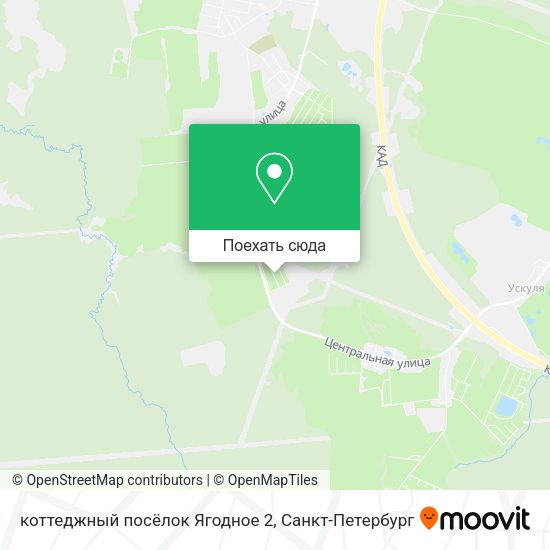 Карта коттеджный посёлок Ягодное 2