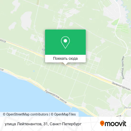 Карта улица Лейтенантов, 31