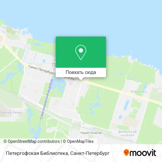 Карта Петергофская Библиотека
