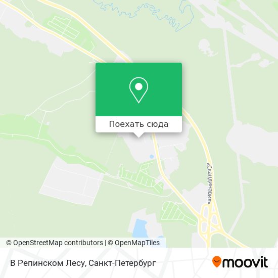 Карта В Репинском Лесу