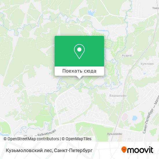 Карта Кузьмоловский лес