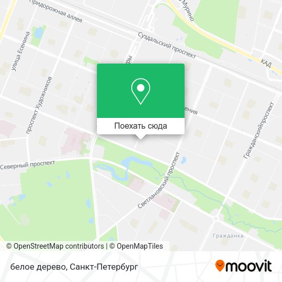 Карта белое дерево