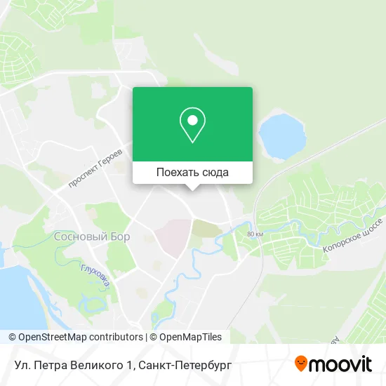 Карта Ул. Петра Великого 1