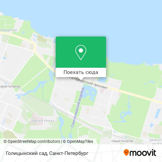 Карта Голицынский сад