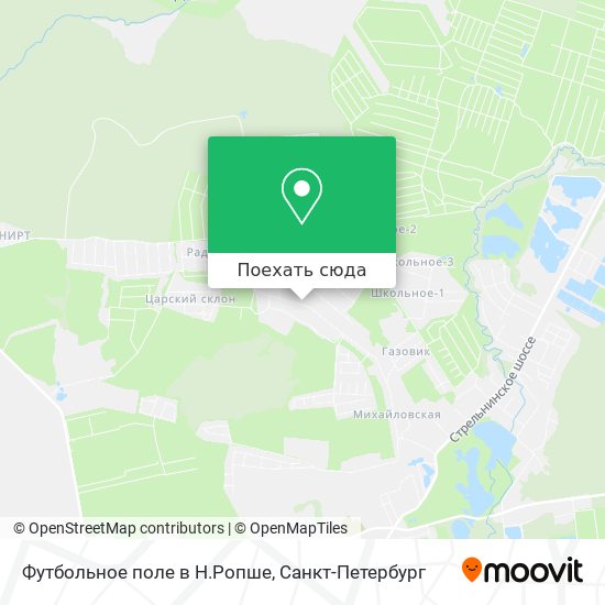 Карта Футбольное поле в Н.Ропше
