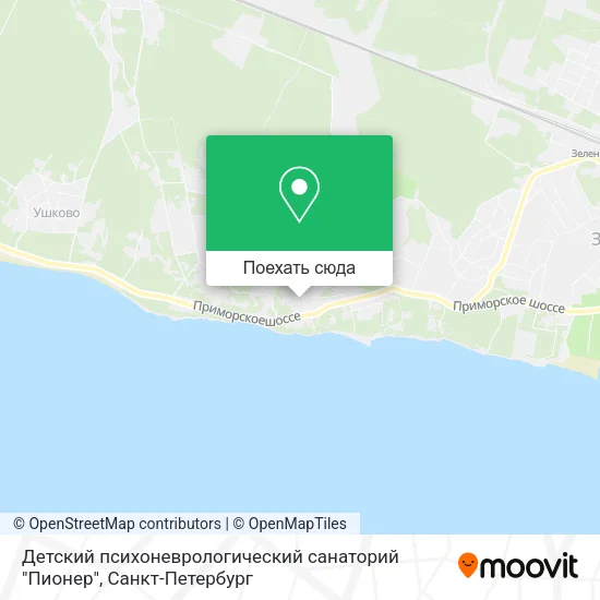 Карта Детский психоневрологический санаторий "Пионер"