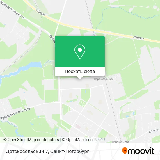 Карта Детскосельский 7