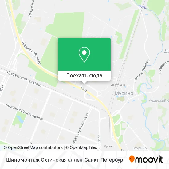 Карта Шиномонтаж Охтинская аллея