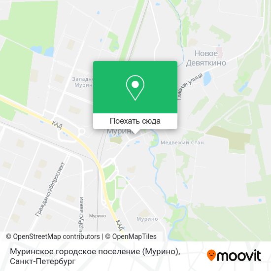 Карта Муринское городское поселение (Мурино)