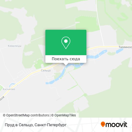 Карта Пруд в Сельцо