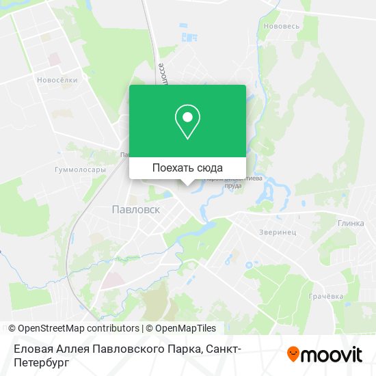 Карта Еловая Аллея Павловского Парка