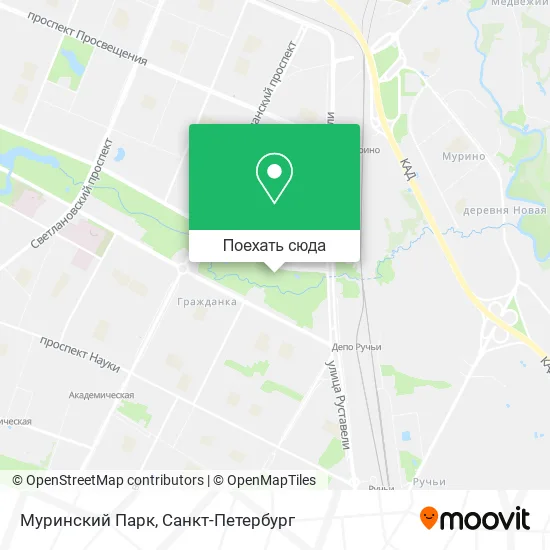 Карта Муринский Парк