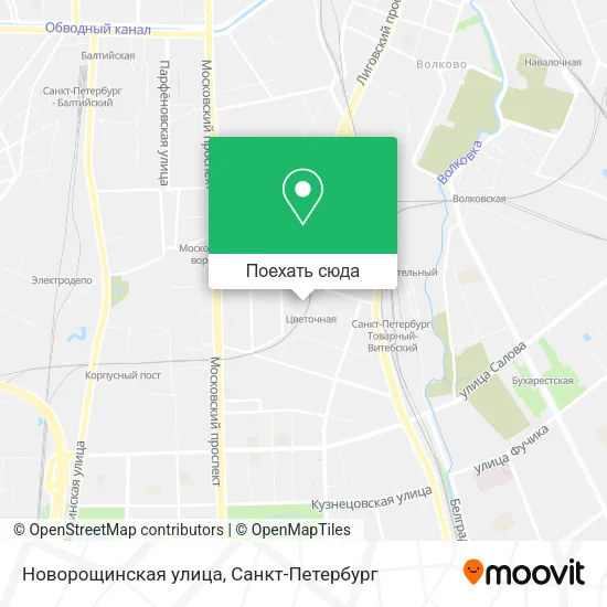 Карта Новорощинская улица