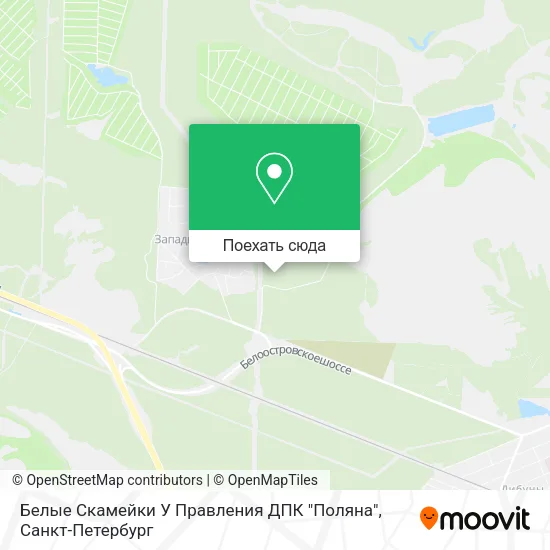 Карта Белые Скамейки У Правления ДПК "Поляна"