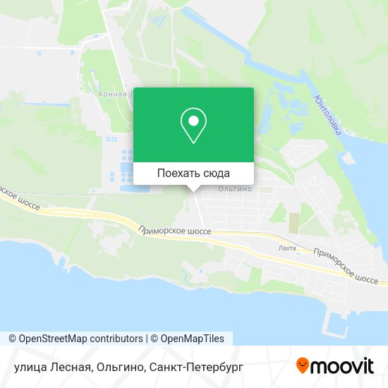 Карта улица Лесная, Ольгино