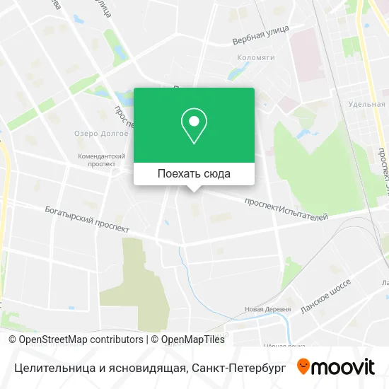 Карта Целительница и ясновидящая