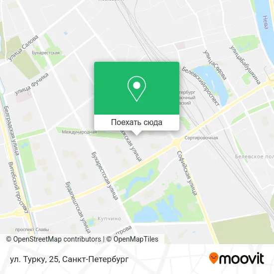 Карта ул. Турку, 25