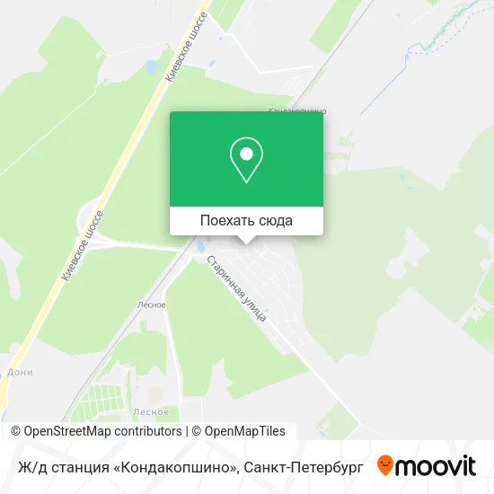 Карта Ж/д станция «Кондакопшино»