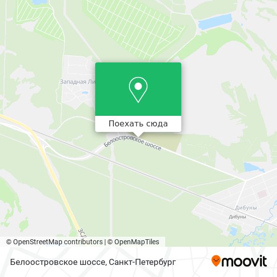 Карта Белоостровское шоссе