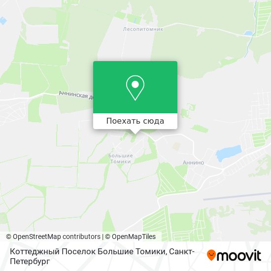 Карта Коттеджный Поселок Большие Томики