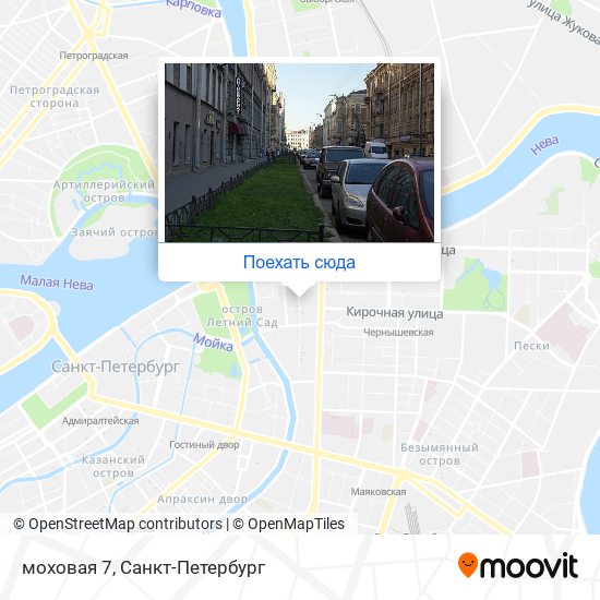 Карта моховая 7