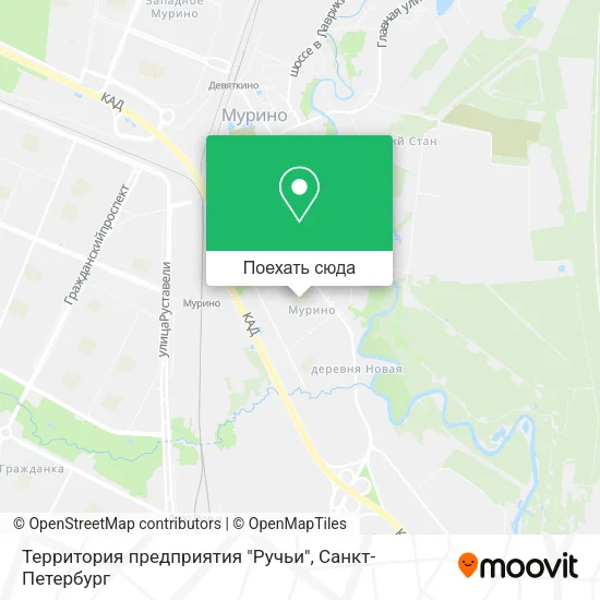 Карта Территория предприятия "Ручьи"