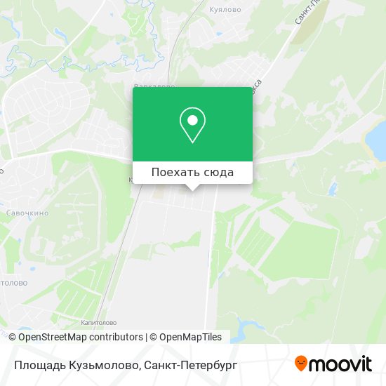 Карта Площадь Кузьмолово