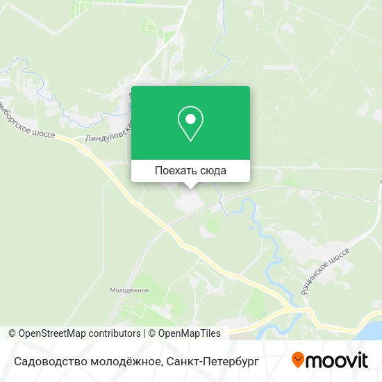 Карта Садоводство молодёжное