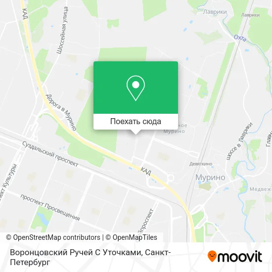 Карта Воронцовский Ручей С Уточками